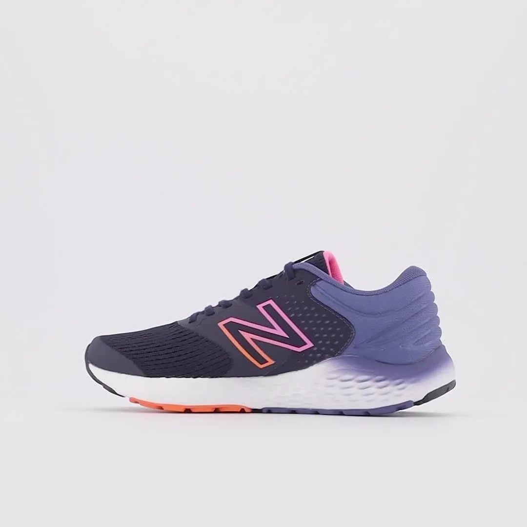 New Balance Women's 520 V6 Running Shoe